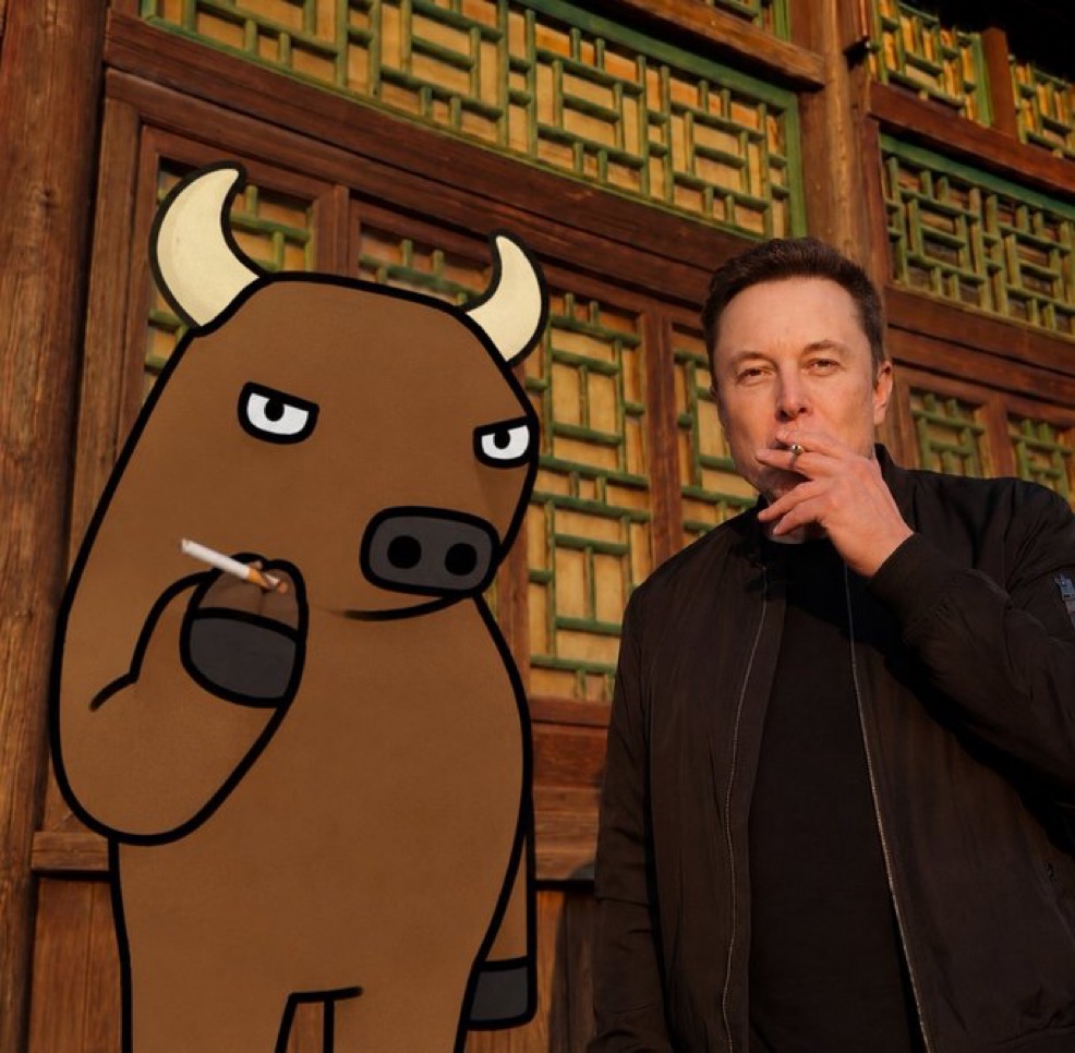 BOOL WITH ELON